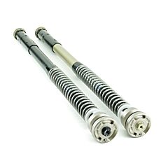 Front Fork Cartridge TRDS-R APRILIA RSV4R SACHS